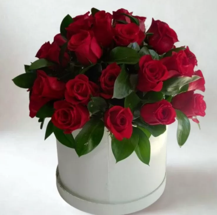 Box con 24 Rosas