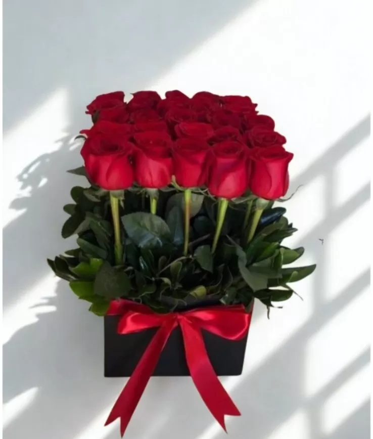 Box con 48 Rosas